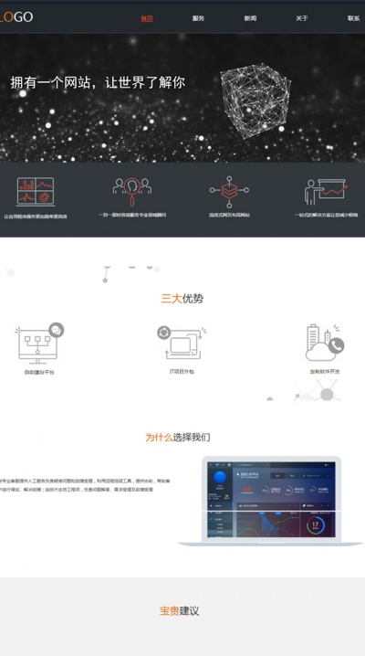 软件开发