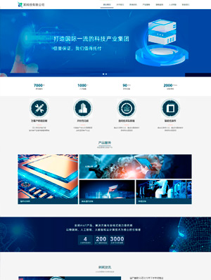 某某科技有限公司