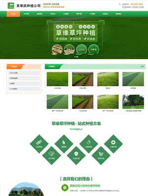 某草皮种植公司