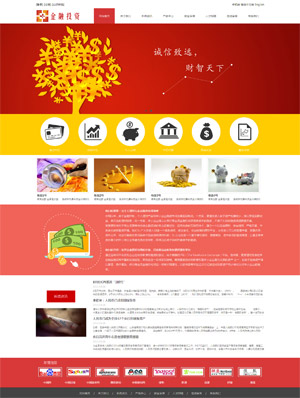 某金融投资理财