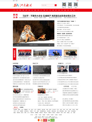 某某新闻门户