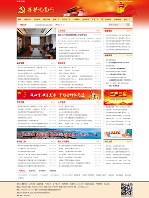 某某党建网