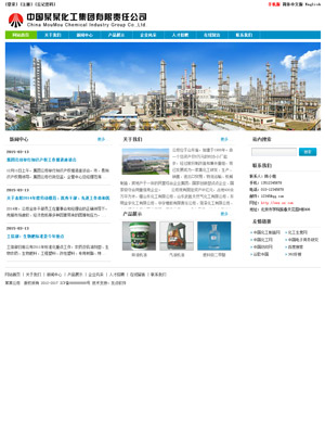 某某化工集团