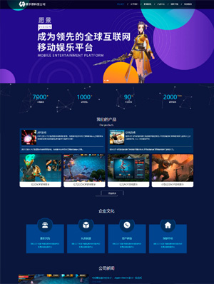 某某手游科技公司