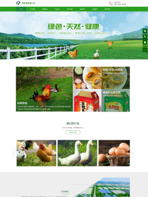 家禽养殖公司