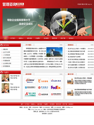 某某企业管理咨询公司