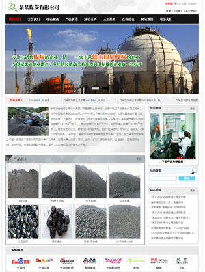 某某煤炭有限公司