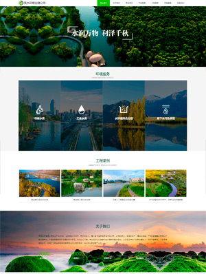 某某水环境治理公司